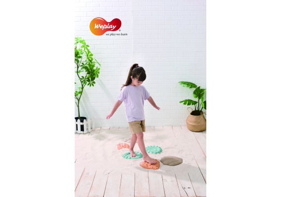 SWP KT0017_1